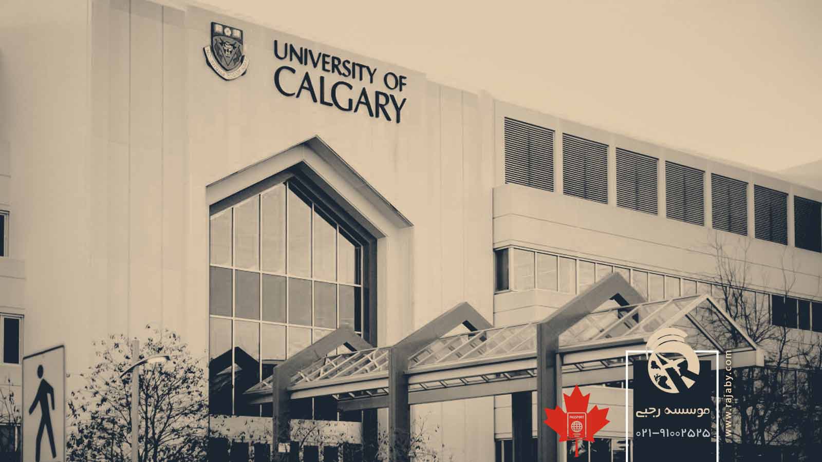 تحصیل در دانشگاه کلگری Calgary کانادا